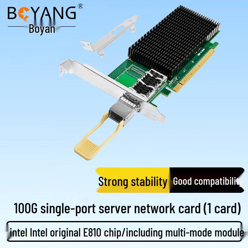 Boyang Intel PCI-E Server Network Adapter (CN Version)