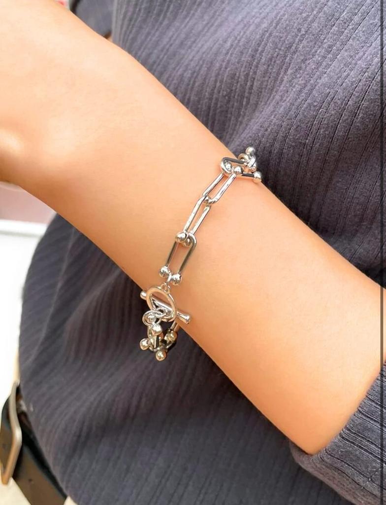 Iris Apricot Bracelet for Men and Women, Stainless Steel Mantle Chain, Silver