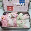 Little Pocket Bunny in Box Mini Bunny Hug Easter Basket Stuffer Plush Rabbit Living in A Box Cute Easter Gift for Kids Teens Girls