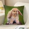Federa per Cuscino Decorativa con Stampa di Coniglietto Divertente Cuscino da Divano 40x40cm Regalo per Animali Domestici