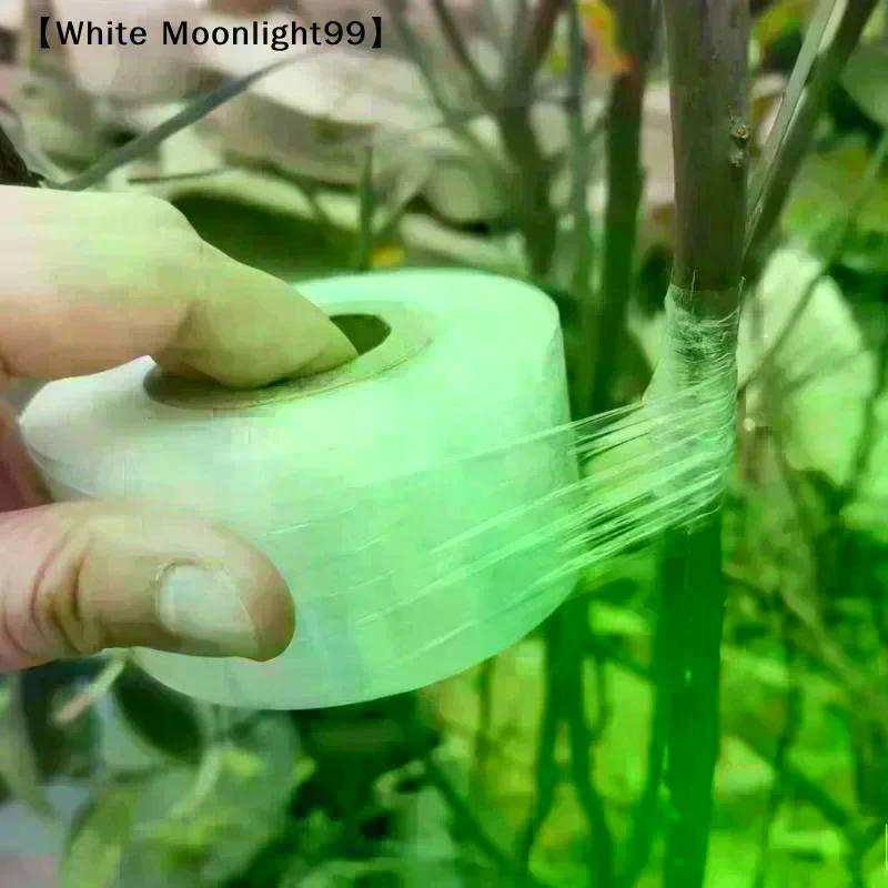 Nastro Film per Innesto in PE 200M Autoadesivo per Piante da Vivaio di Alberi da Frutto Piantine Vite Fiorista Forniture per Innesto Pomodoro Elastico