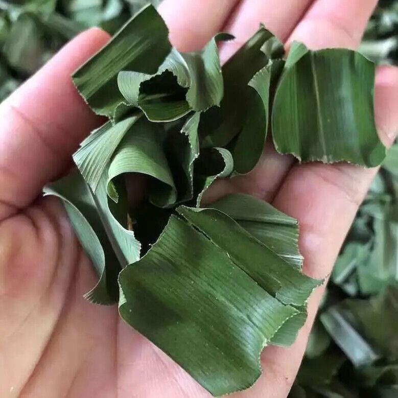 Pandan Rampe Koření Listy Pandanus Amaryllifolius Cejlonský čaj