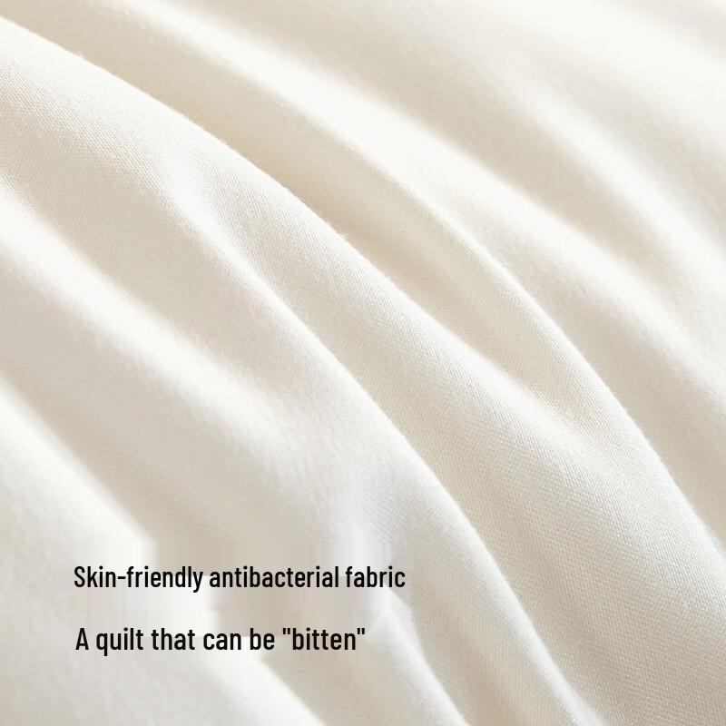Muji Class A Skin-Friendly Four-Season Duvet