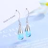 Blue Water Drop Tassel Mori Style Korean Earrings