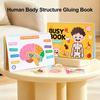 Kids Human Body Busy Book Kindergarten Preschool Body Structure Anatomy Quiet Book Toddlers Educational Body