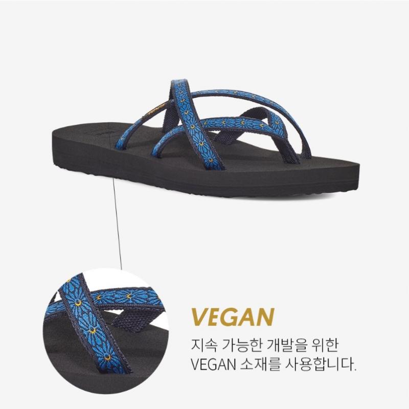 Teva Women S Summer muSh cuShion Flip Flop Fln Stvf2316840
