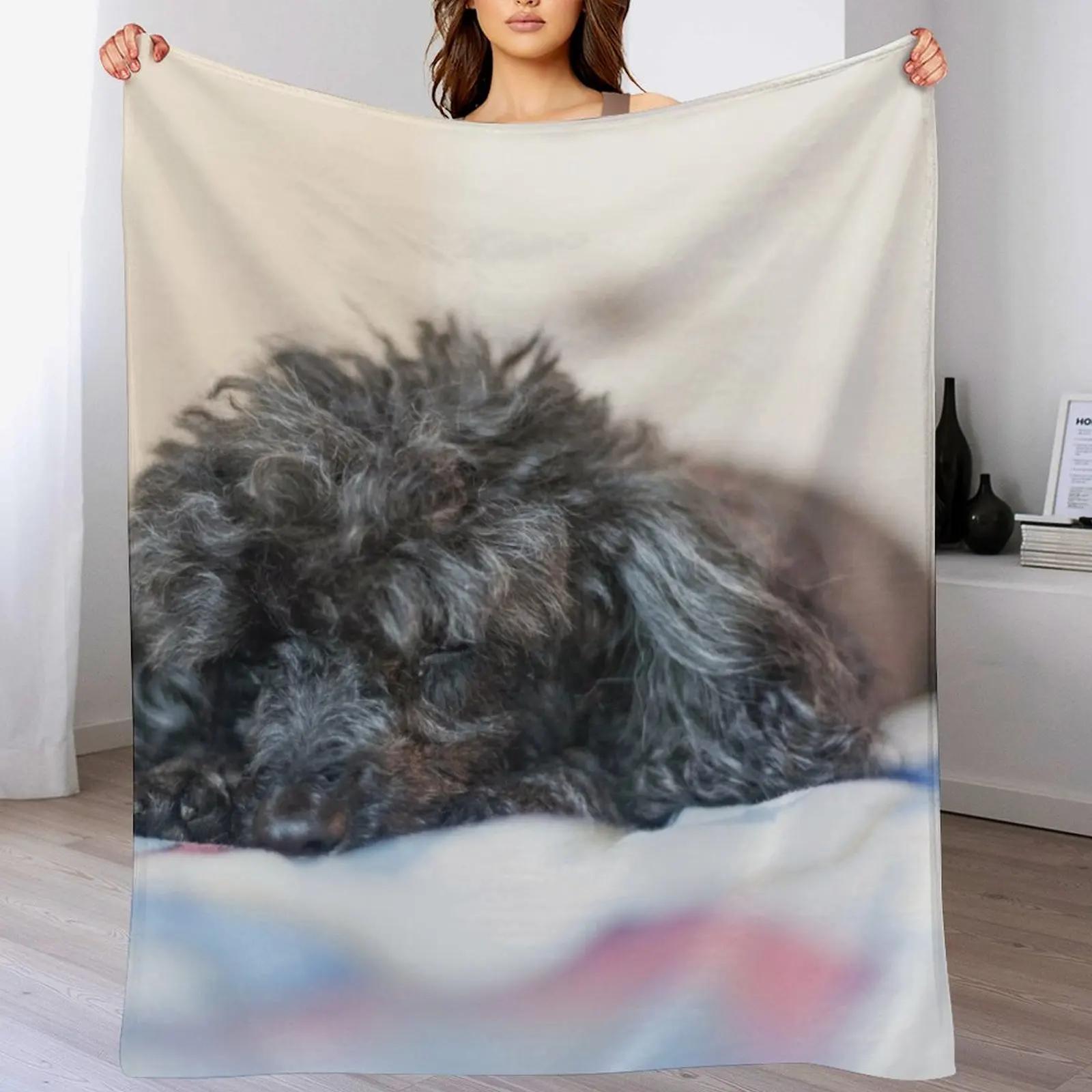 Sleepy Princess Throw Blanket Elegant Warm Throw Blanket for Hotel Home 102x76cm(40x30in)