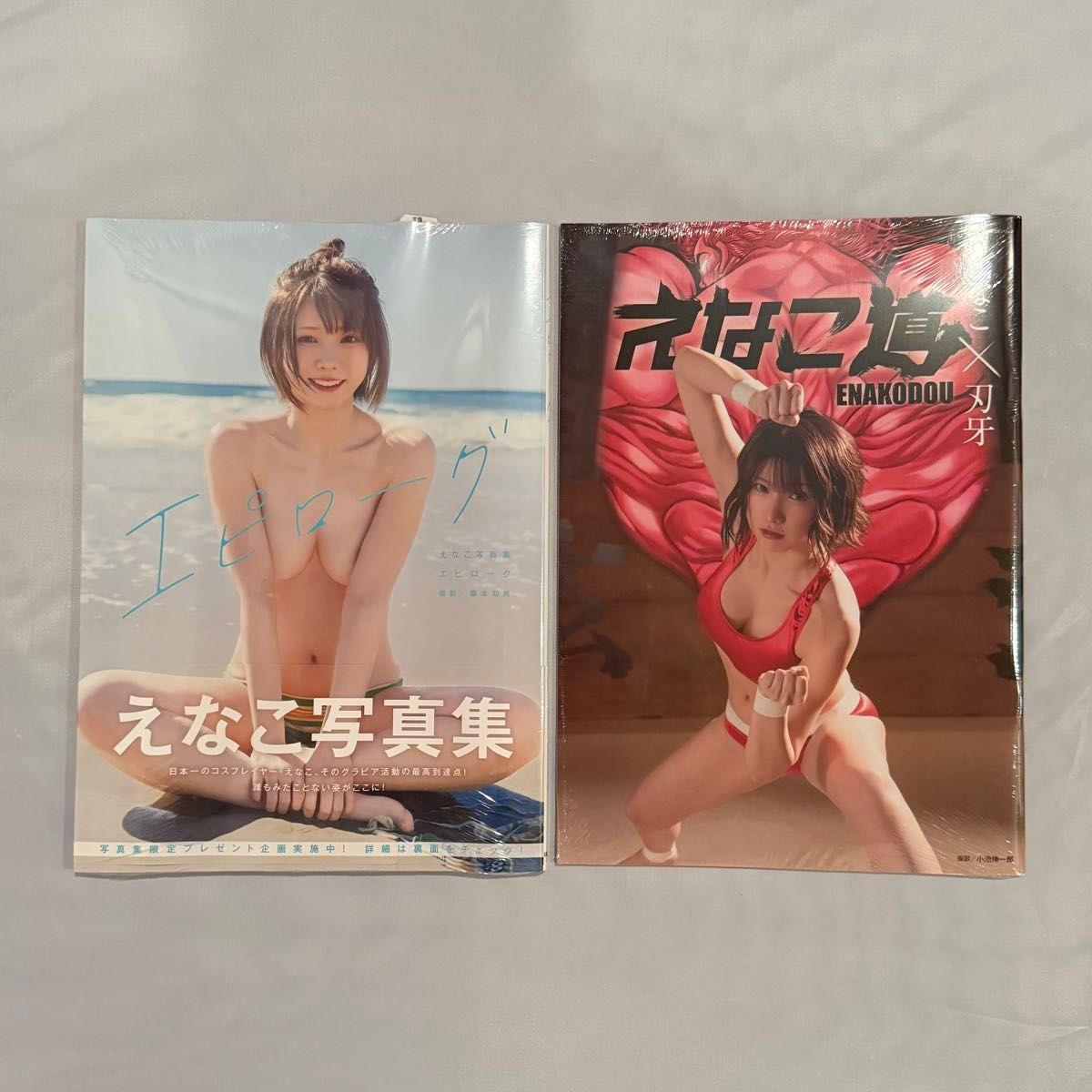 Used Enako Photo Book Enako Michi Epilogue 2 Volume Set Shueisha Akita Shoten