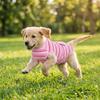 Striped Pet Physiological Pants Breathable Dog Anti-Licking Jumpsuit  Spay Neuter Recovery