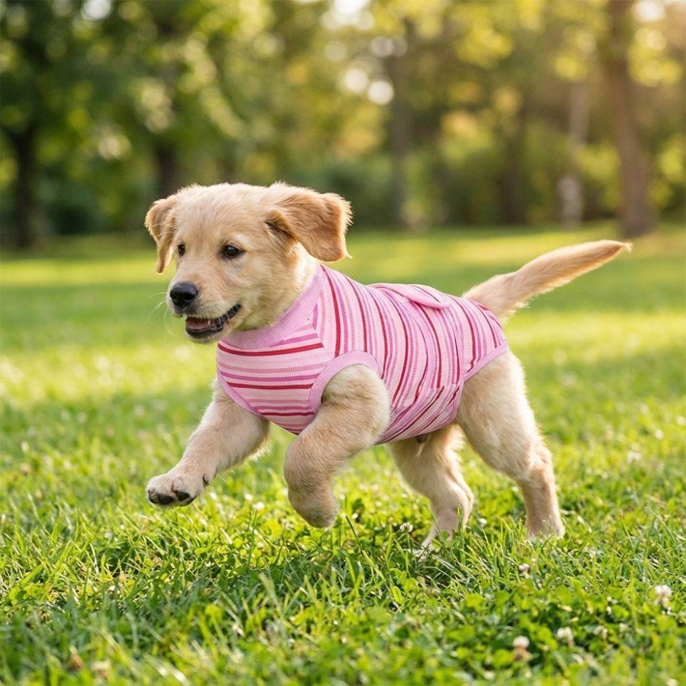 Striped Pet Physiological Pants Breathable Dog Anti-Licking Jumpsuit Spay Neuter Recovery