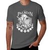 Rpg Class Series Paladin White Text Tshirt Casual Loose Daily Wear Tshirt