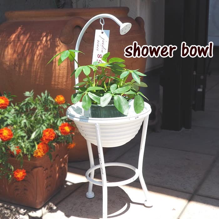 Plato de Ducha Blanco 7061