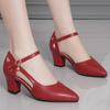 Elegant Chunky Heels - Women's Stylish Point Toe Dress Pumps with Fashion Buckle Strap