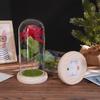Glass cover simulation rose ornament, creative mother's Valentine's Day gift, immortal flower night light