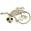 1Pcs Halloween Skeleton Bones Gecko Plastic Gecko Skeleton Model for Halloween Decoration Terror Scary Props