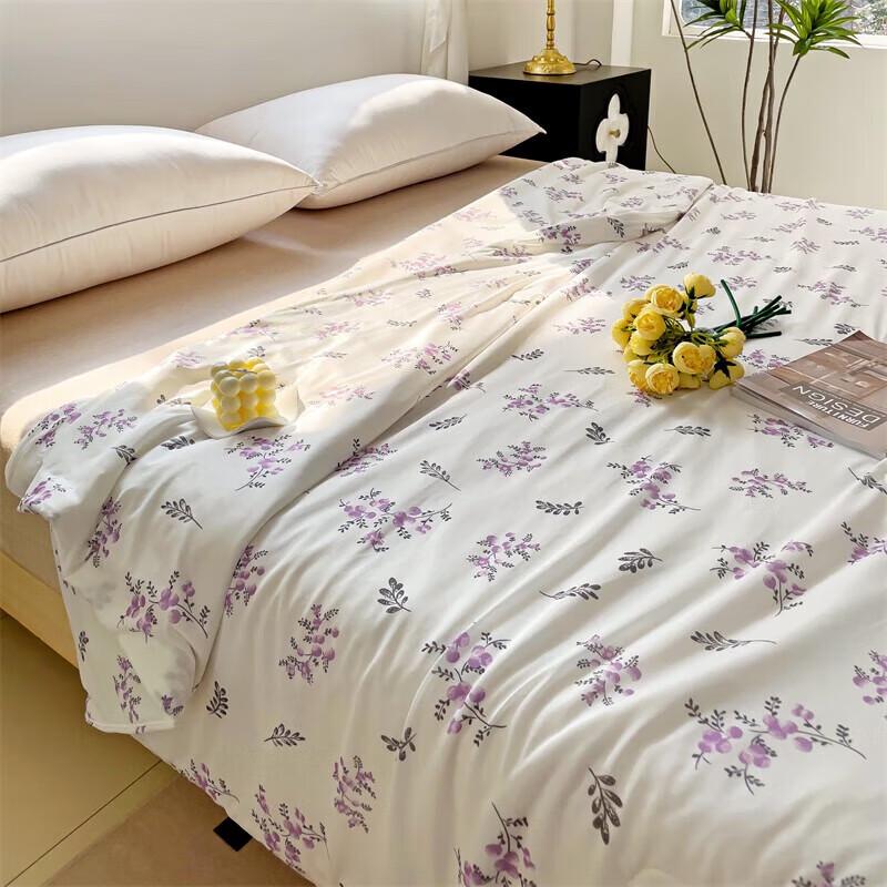 

PLOVER Light Luxury Summer Ice Silk Quilt