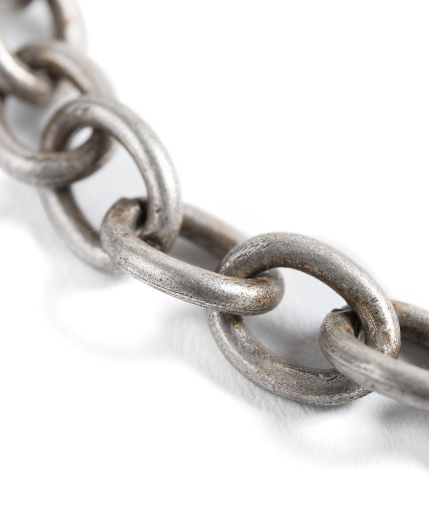 Wild Bricks Bd Link Chain Bracelet (Silver)