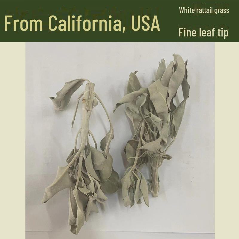 Bețișoare de Aromaterapie cu Salvia Albă și Salvia Albastră cu Cedru Californian și Lemn Sfânt pentru Meditație și Demagnetizarea Cristalelor