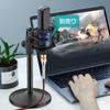 Desktop Condenser Microphone with Stand for Streaming, Recording, Karaoke