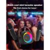 Haomuren Tragbare Karaoke-Maschine mit kabellosem 1 oder 2 Mikrofon, Mini-Bluetooth-Lautsprecher für Kinder, Singen, Familienfeier, Geschenk