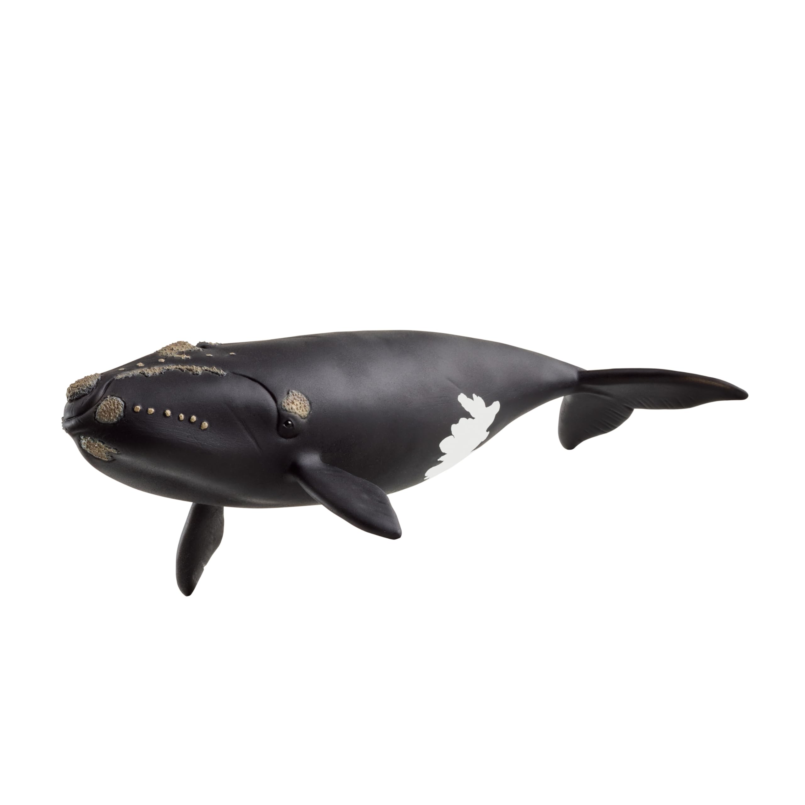 

Schleich Wildlife North Atlantic Right Whale 14878