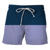 Summer Men's 3D Printed Shorts with Side Pockets Swimming Shorts Beach Casual Shorts