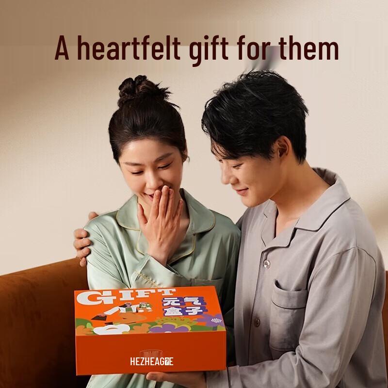 Hozheng High-Speed Hair Dryer & Oral Irrigator Gift Set