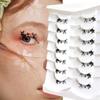Miumi - Graveyard / Spider Web Halloween Party Multipack False Eyelashes