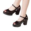 Fashion Fashion 2025 Buckle Strap Women's Sandals New Open Toe Office and Career Summer Best Seller Comfortable Heeled Sandals Zapatos