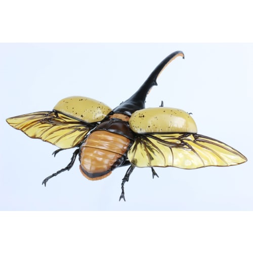 Free Research Series No.26 Living Creatures Edition Hercules Beetle Plastic Model