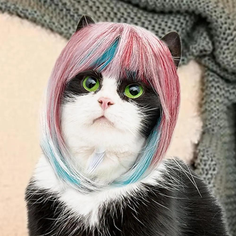Long Hair Blue Pink Wig Colorful Dog Headwear Universal Dog Cat Costume Wig  Party Dress Up