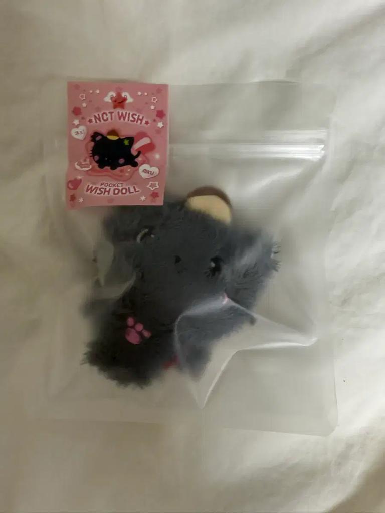 NCT Wish Pop-Up MD Pocket Wish Dollar Cry Transfer