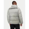 Зимняя куртка Napapijri A-Suomi NP0A4GJF Серая стандартного кроя