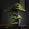 Artificial Cliff Cypress Welcome Pine Bonsai Plant Office Green Plant False Tree Decoration Hotel Soft Installation Landscape