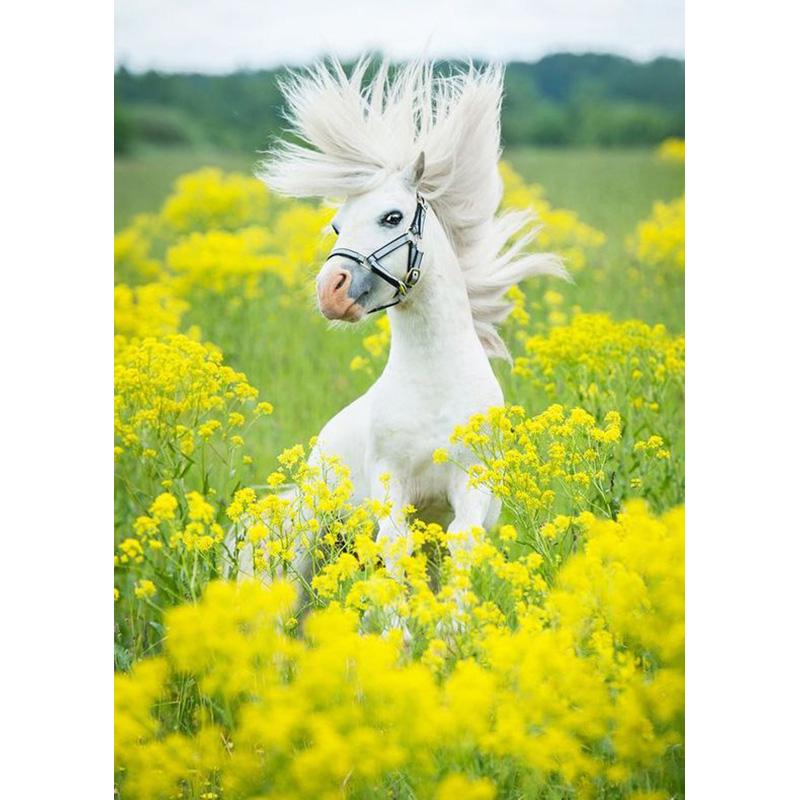 DIY Horse 5D Diamond Painting Full Round Drill Resin Animal Diamont Embroidery Cross Stitch Kits Home Decor Wall Art Gift