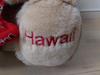 [USED] Teddy Bear Hawaii Exclusive Christmas Santa Bear Plush Toy