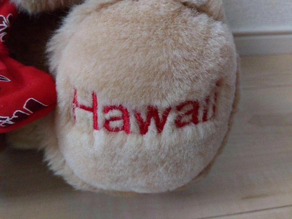 [USED] Teddy Bear Hawaii Exclusive Christmas Santa Bear Plush Toy