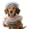 1 Set Costumi Cane Vecchia Signora Cappello Capelli Ricci e Vestito Floreale Gatti Divertente Vestito per Animali Domestici per Gatti e Cani Piccoli Feste Festival