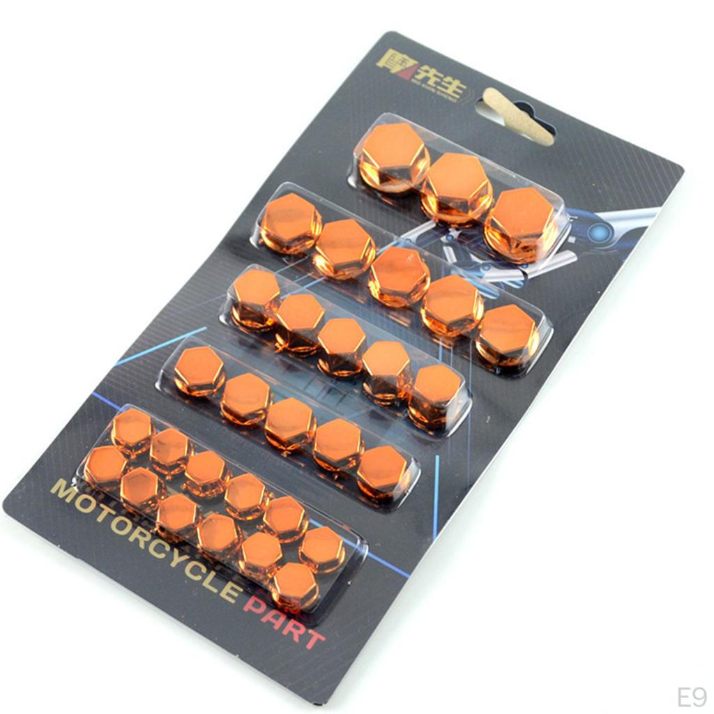 30 Piece Stainless Motorcycle Screw Kit for