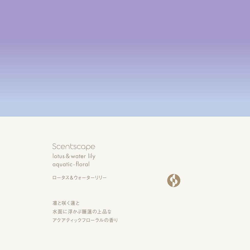 Centscape Lotus Water Lily 30 Pieces &