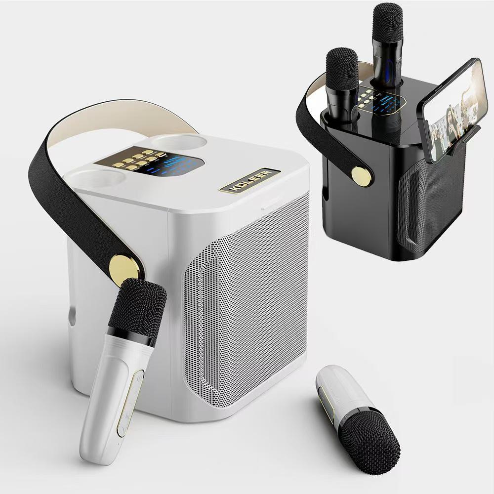 YS203 Bluetooth Speaker with Outdoor Microphone and Integrated Subwoofer for Home and KTV