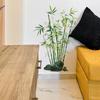 Elegant Personalized Green Bamboo Wall Decoration Stickers for The Restaurant and Study Area of The Dining Room