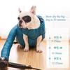 Pet Drying Bag Blowing Artifact for Cats and Dogs Special for Large Dogs Bath Quick-drying Hair Dryer Drying Box