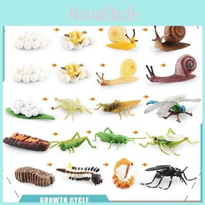 Koleksiyonluk ürünler ve modeller – Figür