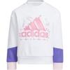 Kids Sweatshirts Crew Neck Thickened HM9626
