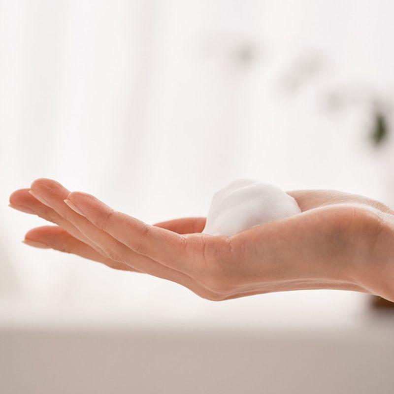 Lacto Probiotics Rejuvenating Foaming Wash Tea Tree Feminine Cleanser 180ml Refill
