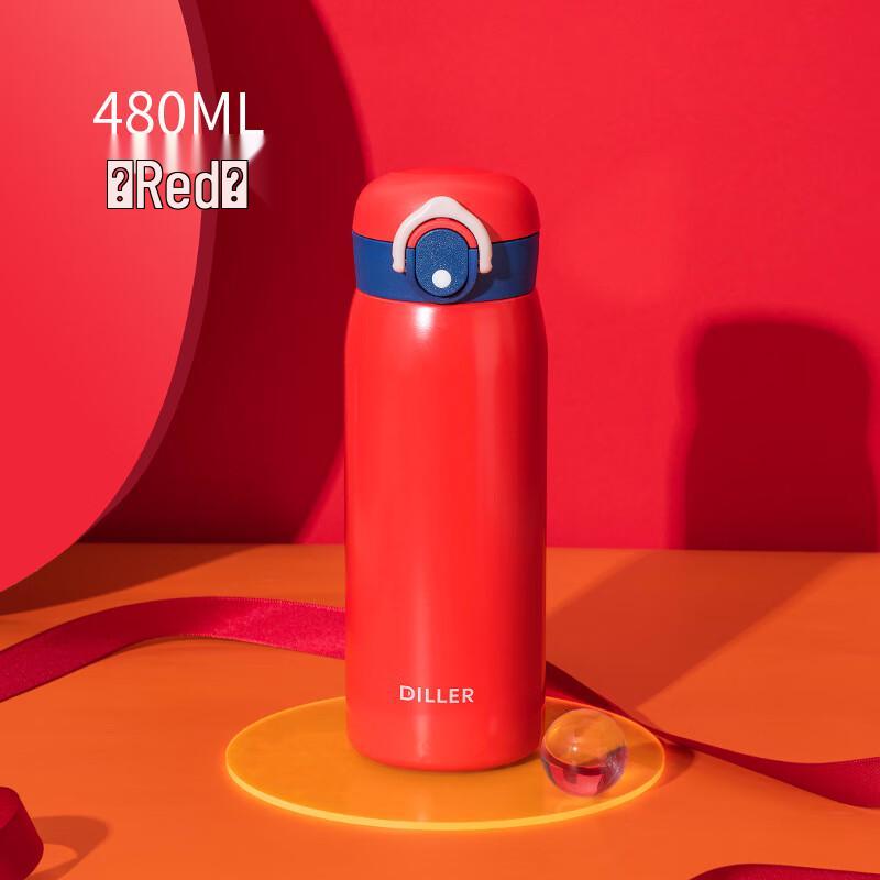 Diller 316 Stainless Steel Insulated Water Bottle