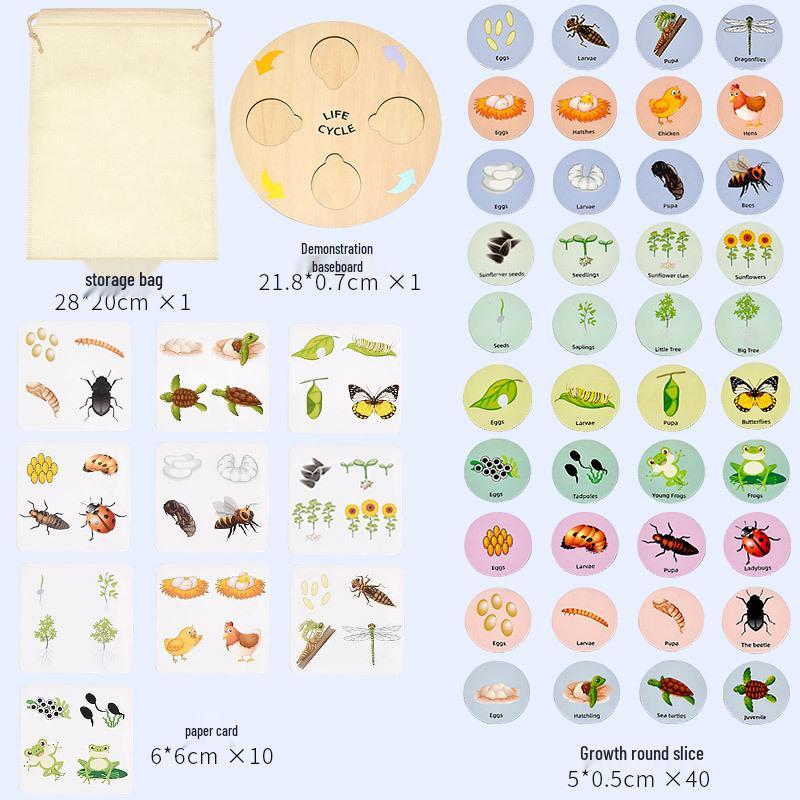 Wooden Educational Puzzle: Life Cycle Changes of Plants & Animals – Toddler Cognitive Growth Toy