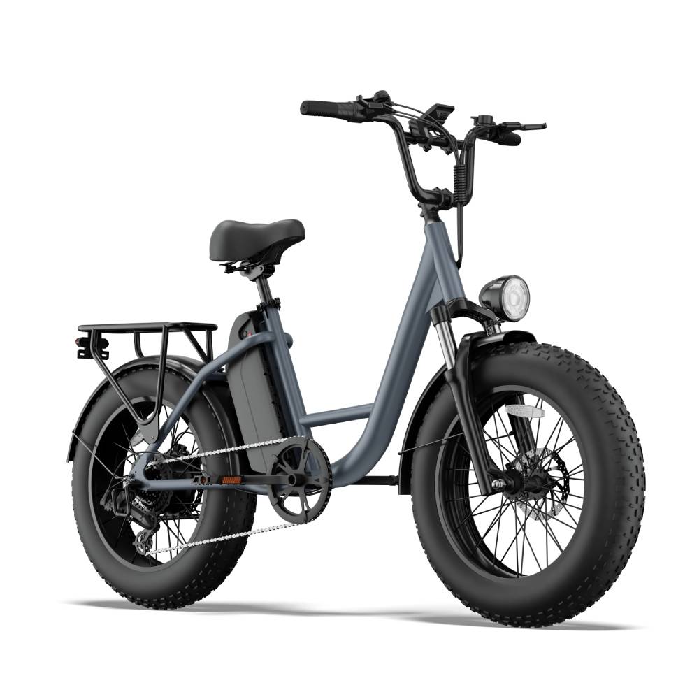 URLIFE E20 PRO Elektrisches Fahrrad für Erwachsene 1500W Motor 48V 15,6AH Akku 20" Fettreifen Geländetaugliches Elektrofahrrad