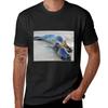 Snuggling seals T-Shirt animal prinfor boys sublime black t-shirts for